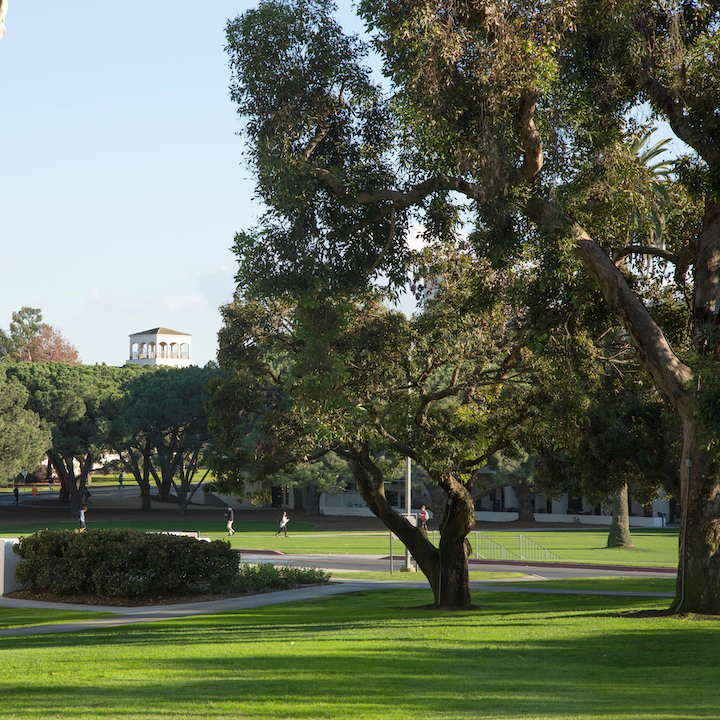 Image of walkway on campus. There are a lot of trees in the background and some grassy areas.
